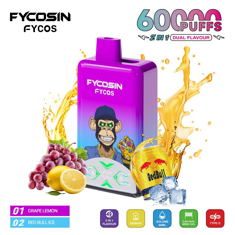 FYCOS Rasa Ganda 60000 2IN1